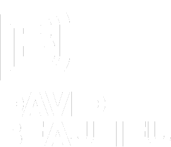 David Beaulieu